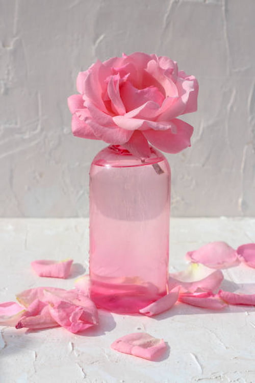 گلاب سنتی با عطر فاخر و حس و حال اصیل